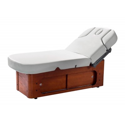 Electric Spa Bed with Heating ( GAMM WARM / HZ-3381A-3H )
