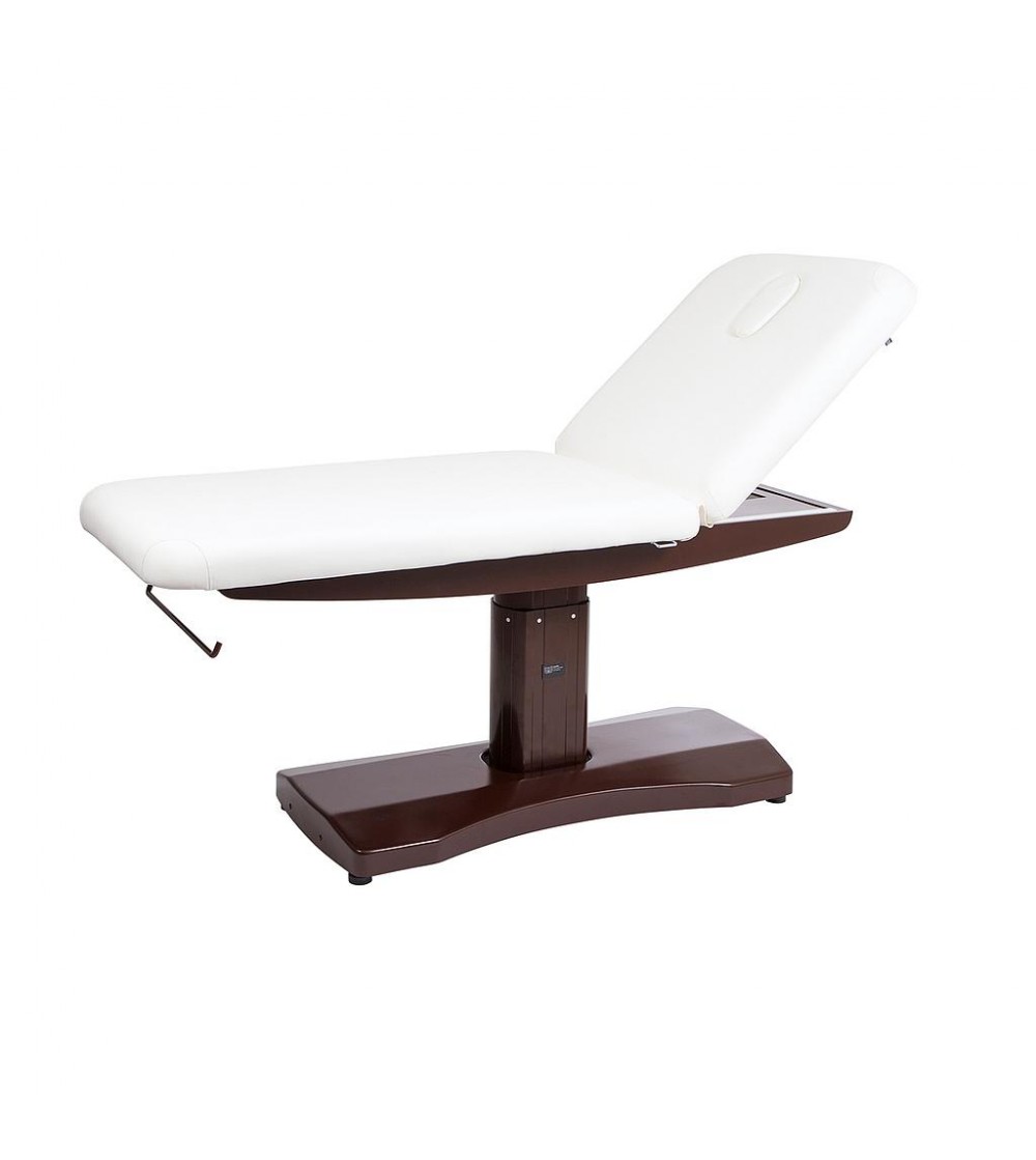 Lettino Elettrico con Riscaldamento (PU, 2 Motori) ( 2238AIHT / TRAPP )