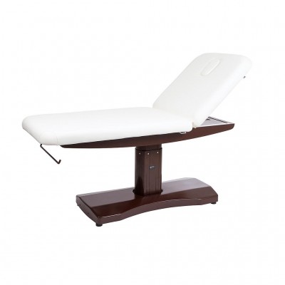 Lettino Elettrico con Riscaldamento (PU, 2 Motori) ( 2238AIHT / TRAPP )